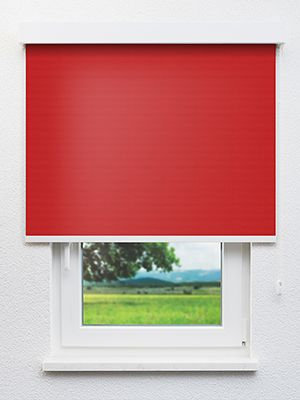 Masusu 31.92d Fensteransicht