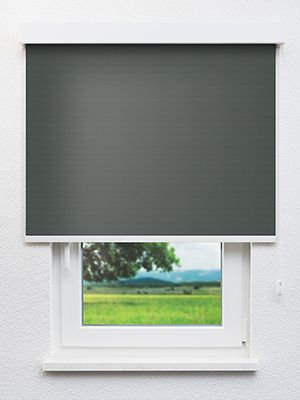 Masusu 71.92d Fensteransicht