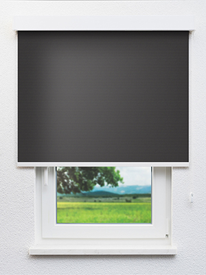 Masusu Blackout 02.92d Fensteransicht