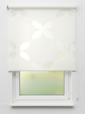 Doppelrollo Flowers 12.103 Fensteransicht