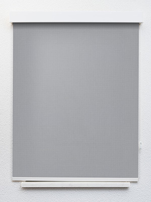 Preview Rollo Albus 30.603 1