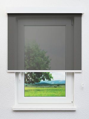 Rollo Eminent 40.133 Fensteransicht