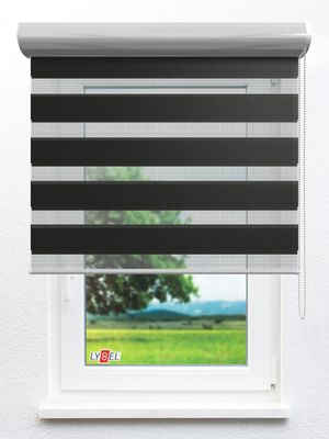 Simply Doppelrollo Sidonia 54.63d Fensteransicht
