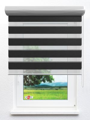 Simply Doppelrollo Tully 64.63d Fensteransicht