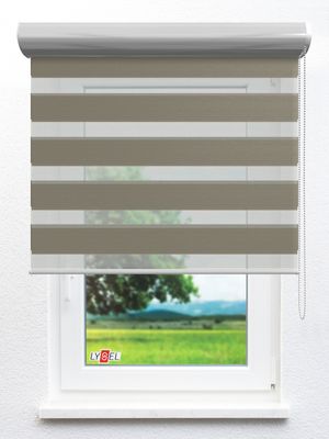 Simply Doppelrollo Tully 98.63d Fensteransicht