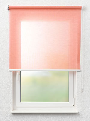 Rollo Jeans 82.104 Fensteransicht