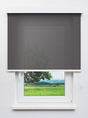 Rollo Trevira Basic 30.814 Fensteransicht