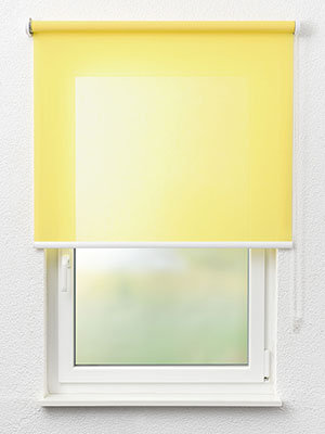 Rollo Trevira Basic 62.814 Fensteransicht