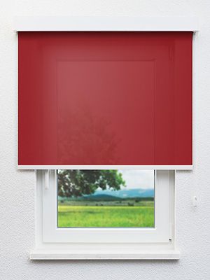 Rollo Calm Life 23.024 Fensteransicht