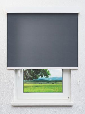 Rollo Fobos Reflex 40.394 Fensteransicht