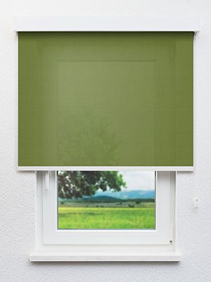 Rollo Solid 38.895 Fensteransicht