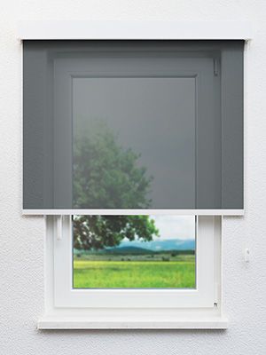 Rollo Proven 30.306 Fensteransicht