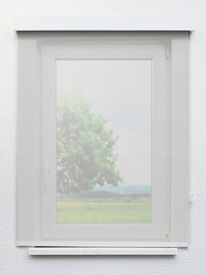 Preview Rollo Delicate Structure 12.576 1