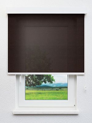 Rollo Joanne 40.776 Fensteransicht