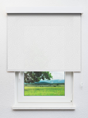 Rollo Tufts 12.196 Fensteransicht