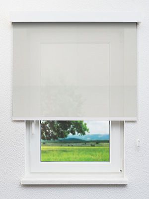 Rollo Maggie 12.596 Fensteransicht