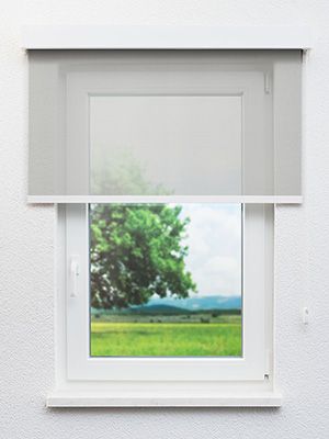 Preview Rollo Carol 12.796 2