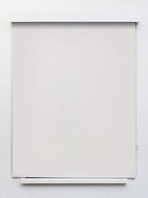 Preview Verdunkelungsrollo Plain 02.227 1