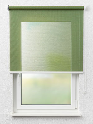 Rollo Malia 88.047 Fensteransicht