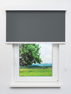 Preview Verdunkelungsrollo Alice 30.078 2