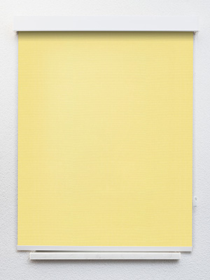 Preview Rollo Blake 42.178 1