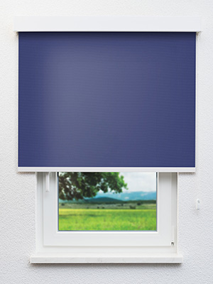 Stoff Rollo Ma&szlig;anfertigung Rollo Blake 85.178