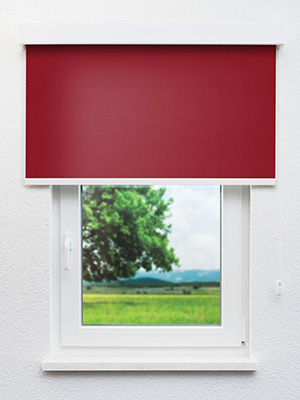 Preview Rollo Julia 23.040 2