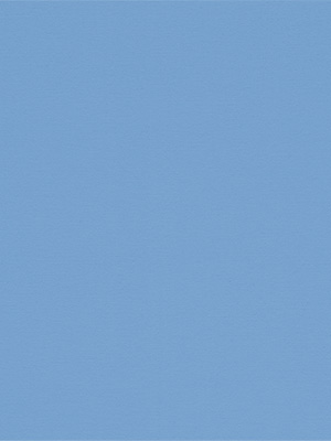 Rollo Julia 56.040 Detailansicht