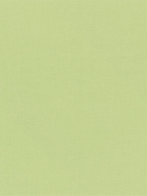 Rollo Julia 98.040 Detailansicht