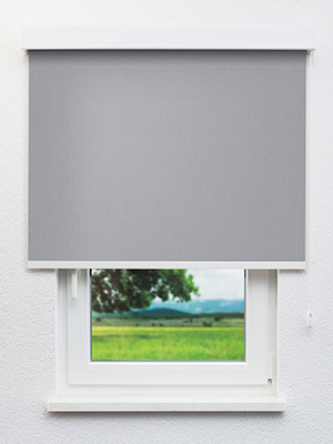 Rollo Office Perlex 90.112 Fensteransicht