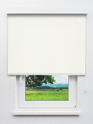 Rollo Molly 12.278 Fensteransicht