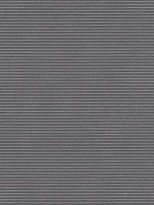 Rollo Trans Stripe 30.010 Detailansicht