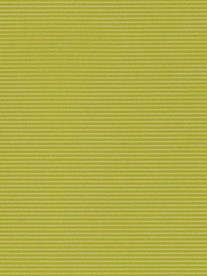 Rollo Trans Stripe 59.010 Detailansicht