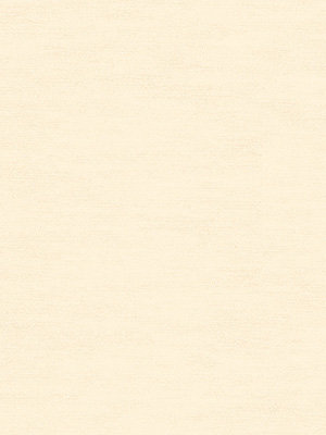 Preview Rollo Structura Trans 91.210 2