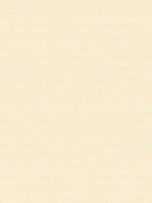 Rollo Shine 22.440 Detailansicht