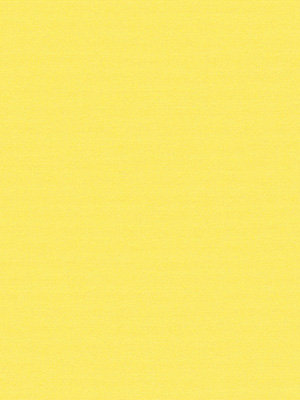 Rollo Shine 42.440 Detailansicht