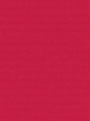 Rollo Shine 03.440 Detailansicht