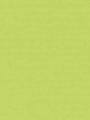 Rollo Shine 59.440 Detailansicht