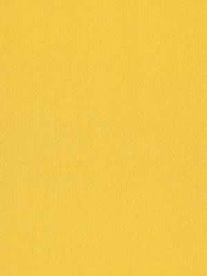 Preview Rollo Daily Uni 42.850 3