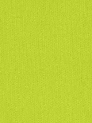 Preview Rollo Daily Uni 98.850 3