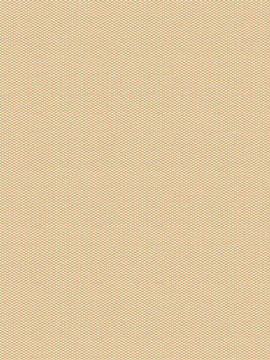 Preview Terapo 41.72d 3