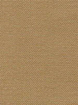 Locon 81.72d Detailansicht