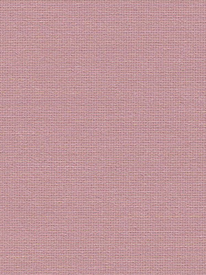 Lameiro 16.72d Detailansicht