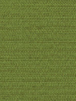 Rollo Solid 38.895 Detailansicht