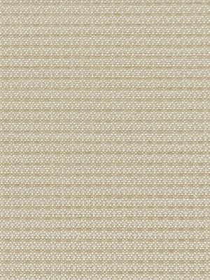 Preview Rollo Delicate Structure 21.576 3