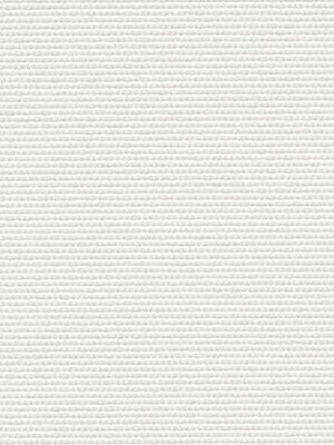 Rollo Maggie 12.596 Detailansicht