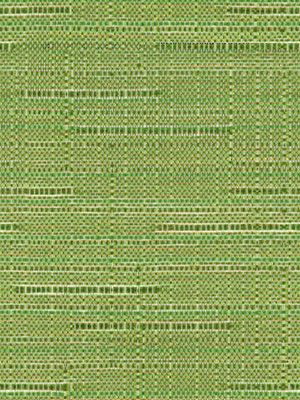 Rollo Carol 68.796 Detailansicht